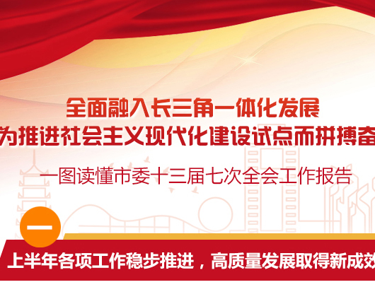 一图读懂市委十三届七次全会工作报告（政府图